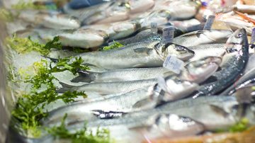 Οφέλη για τα ψάρια