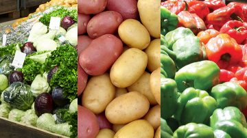 κολάζ φρέσκων τροφίμων