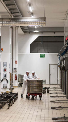 Στο εργοστάσιο Hero, οι δύο αυτοί άντρες εργάζονται υπό το φως φωτισμού βιομηχανίας τροφίμων της Philips