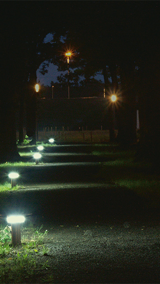 Μονοπάτι στο High Tech Campus φωτισμένο με φωτισμό υπαίθριων χώρων Philips για αυξημένη ασφάλεια τη νύχτα