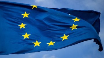 Ένα δέντρο δίπλα σε ένα γυάλινο κτίριο