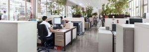 Υποστήριξη προσπαθειών που καταβάλλονται σε παγκόσμιο επίπεδο για την προστασία του περιβάλλοντος