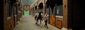 Η Bourne Hill Stables δημιουργεί ένα ασφαλέστερο περιβάλλον με φωτισμό UV-C